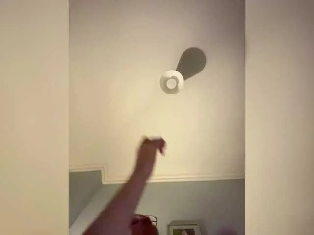 Freechat AndreElis on BongaCams