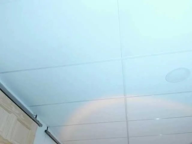 Offline Carlin1511 on BongaCams