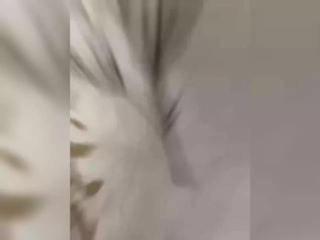 Essss33331 on BongaCams 