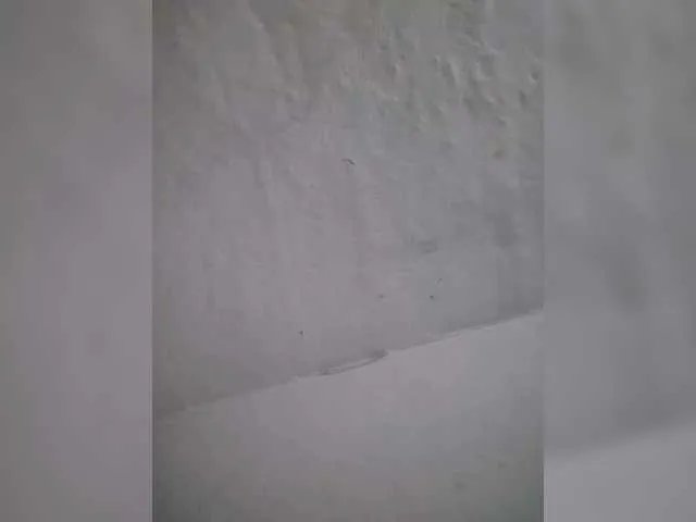 Offline IndianBeaut on BongaCams