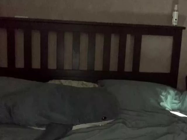 Offline MileniumJuls on BongaCams