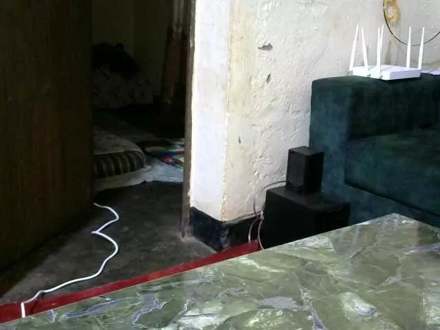 Freechat NuruSweet on BongaCams