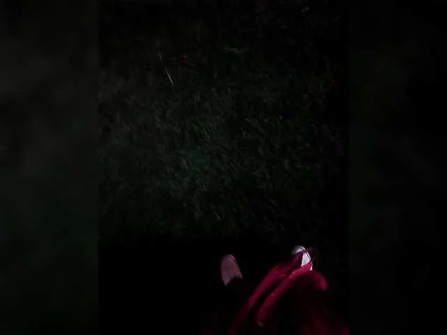 Offline TilyTily on BongaCams