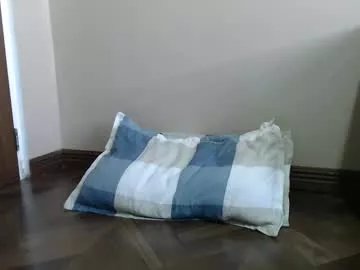 Freechat shyeve2004 on Chaturbate