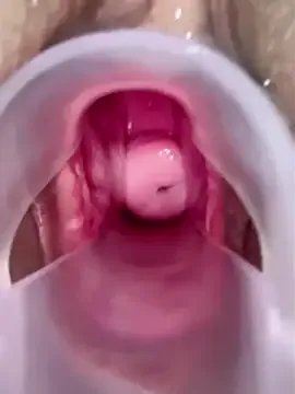 Freechat feid_ff on StripChat