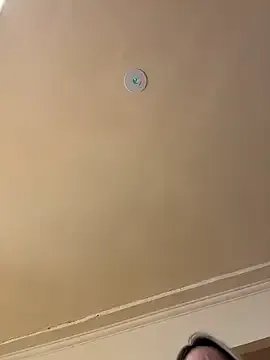 Group Gatitacarlita on StripChat