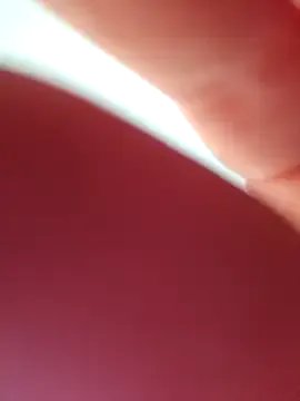 Freechat Nova-Lee on StripChat