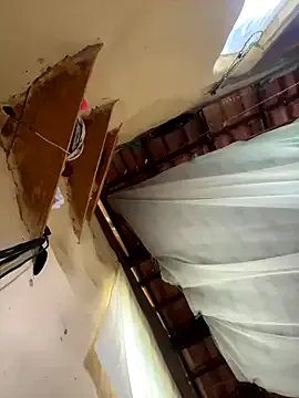 sammoura01 on StripChat 