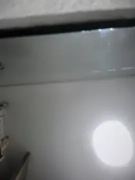 Freechat Sofia_Collins- on StripChat