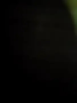 Freechat Troiavaca on StripChat